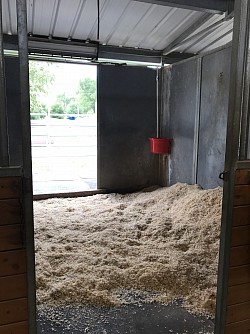 Large matted stalls with or without paddocks